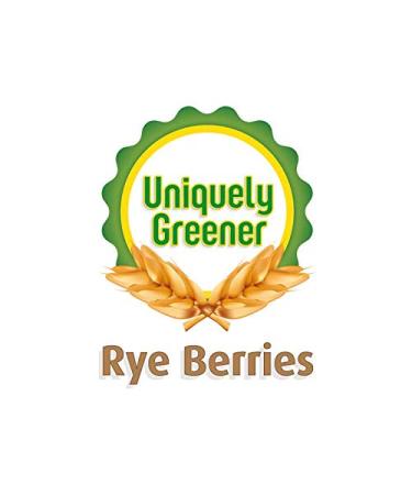 Organic Whole Rye Berries - 2 lbs | Premium Quality Grains - Buy Online on GoSupps.com