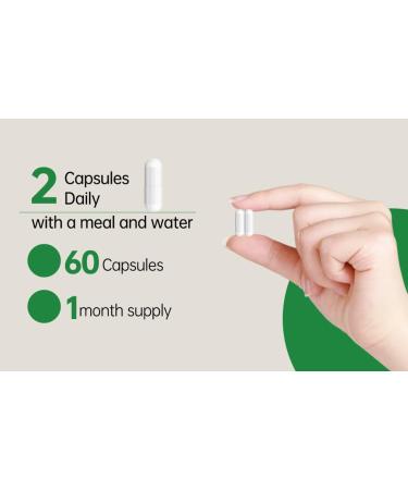 PDNAXI L-Lysine Complex Supplement for Children Amino Acid Formula with L-Lysine L-Leucine & L-Glutamine 60 Capsules Dietary Supplement - Buy Online on GoSupps.com