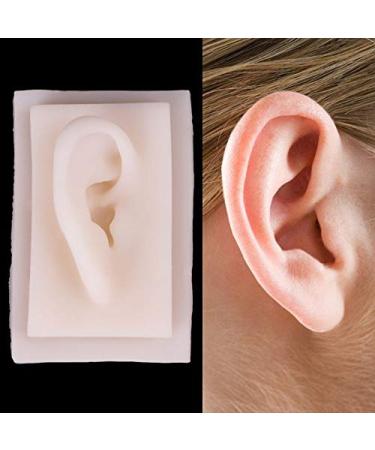 JINGERL Medical Props Model Human Soft Silicone Right Ear Model Life Size Acupuncture Study Practice Tool