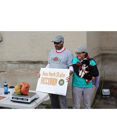 5-2 Humic/Fulvic Acid + Seaweed Extract Wonder Blend 425 Grams Wallace Organic Wonder - Buy Online on GoSupps.com