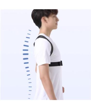 MDLIAN Positive Pine Improvement Back Artifact - Invisible Anti-Hunchback Orthotics for Men - Large Size Posture Correction - Buy Online on GoSupps.com
