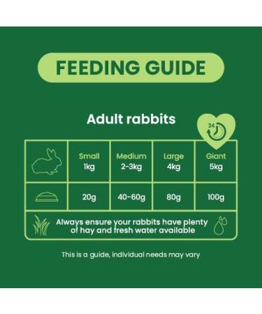 Burgess Excel Nuggets with Mint Adult Rabbit Food 3 kg 3 kg (Pack of 1) - Buy Online on GoSupps.com