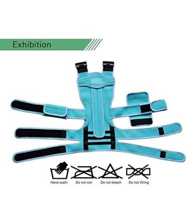 Adjustable Posture Corrector for Men & Women - DFHBFG Back Support Corset Belt - Improve Shoulder & Lumbar Support (Small - Buy Online on GoSupps.com