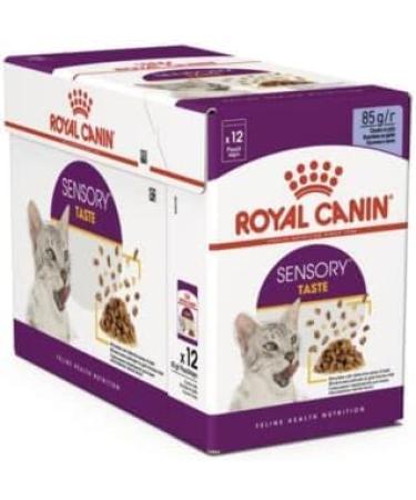 Royal Canin Sensory Taste in Jelly Wet Cat Food 85g (Pack of 48) - Buy Online on GoSupps.com