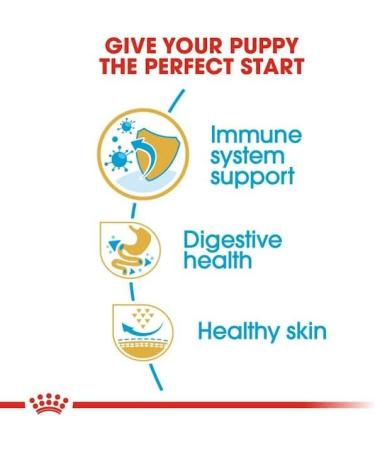 ROYAL CANIN Dog Food for French Bulldog Junior 1 kg - Buy Online on GoSupps.com