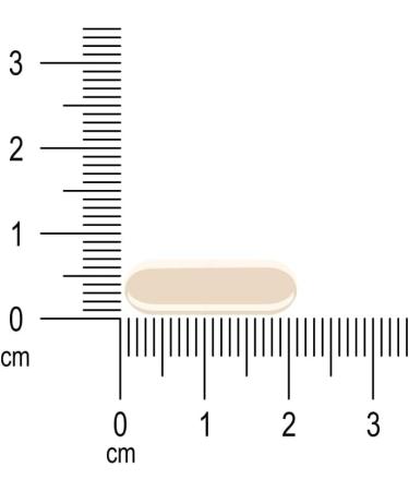 PreProbiotics Charlotte Labee Supplements 60 capsules With 4 living organisms 100 natural and sustainably packaged - Buy Online on GoSupps.com