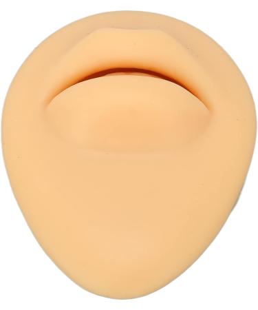 Artificial Mouth Model Soft Silicone Mouth Model Flexible Simulation Human Mouth for Body Part Display Teaching Tool Personal Care - Buy Online on GoSupps.com