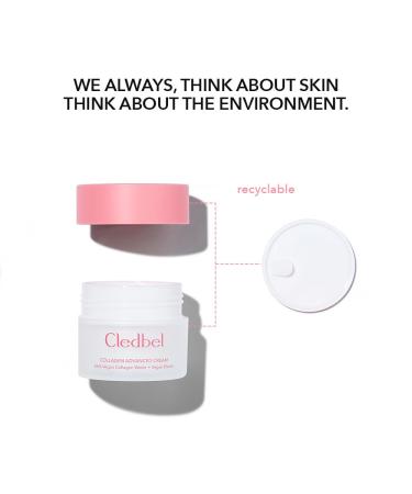 Collagen Advanced Cream 50ml - Vegan Firming & Hydrating Daily Cream for All Skin Types | Korean Skincare with 56% Vegan Collagen Elastin & Hyaluronic Acid - Paraben-Free - Buy Online on GoSupps.com