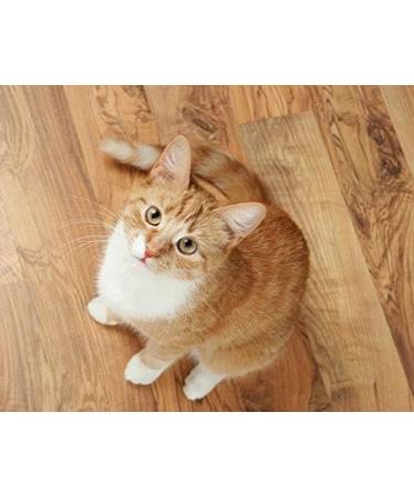 I LOVE MY PETS LLC cat Urinary Tract Treats - CAT Urinary Tract Support - Natural Complex - Premium - Urinary Tract cat Supplement - 90 Treats (1 Bottle) - Buy Online on GoSupps.com