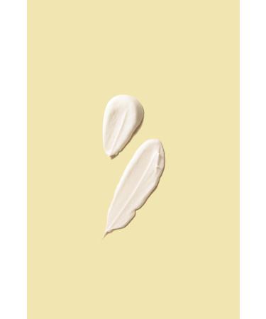 Alba1913 Galenic Daily Hand Cream - Moisturizing for Dry Skin Shea Butter & Oils - 75g - Perfect for Men & Women - Buy Online on GoSupps.com