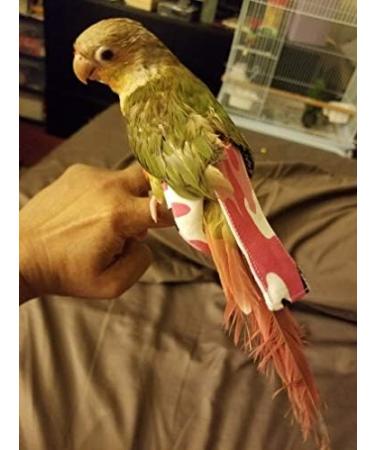 KUSO Reusable Washable Parrot Diapers - Flight Suit Kimono Clothes for Budgies Parakeets Cockatiels Cockatoos & African Macaws - Sunscreen Protection (M Pink) - Buy Online on GoSupps.com
