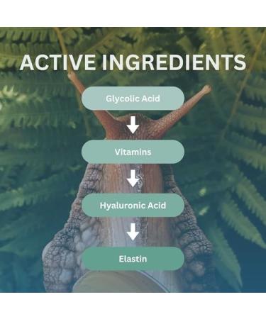 RainbowSnail - Ultimate Day Hydration - Women Face Moisturiser Snail Skincare Gift Skincare sets Snail Serum Moisturiser For Teens Korean Skincare Face Cream Eczema - Buy Online on GoSupps.com