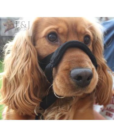 Champion Anti-Pull Training Halter for Dogs - Padded Black - Improve Control & Comfort - International Shipping Available - Buy Online on GoSupps.com