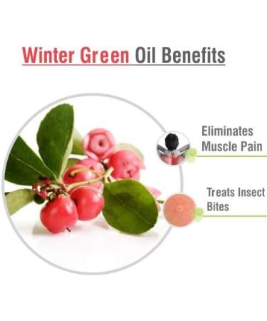 Crysalis Wintergreen (Gaultheria Procumbens) Oil |100% Pure & Natural Undiluted Essential Oil Organic Standard|for Undiluted Therapeutic Grade |Aromatherapy Oil| for All Skin Types- 30ml with Dropper - Buy Online on GoSupps.com
