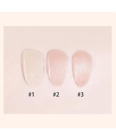 2 in 1 Foundation + Concealer 2 in 1 Anti-Wrinkle Anti-Wrinkle and Lightweight Foundation for Face Contour (01# Bright One Size) - Buy Online on GoSupps.com