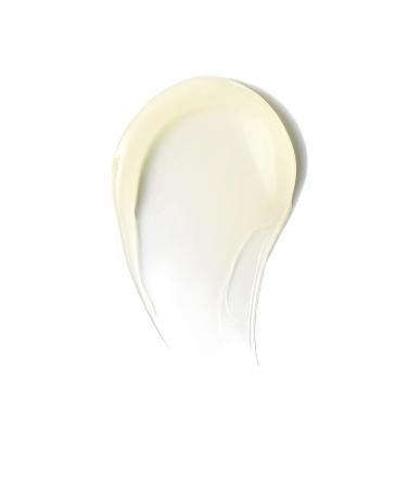 Revitalizing Dew Snow Mushroom Eye Gel-Cream | 0.5 fl oz Cruelty-Free Clean Beauty by WELL PEOPLE - Buy Online on GoSupps.com