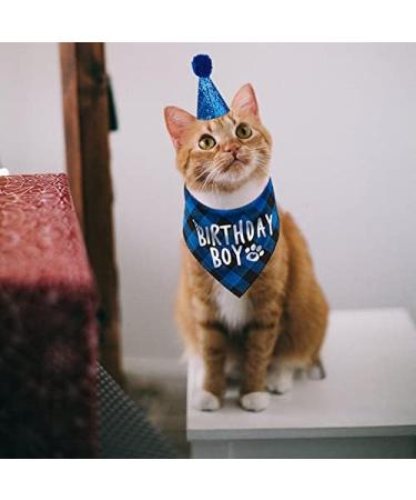 Kuou Dog Birthday Bandana - Cute Boy Pet Birthday Party Supplies in Blue - Buy Online on GoSupps.com