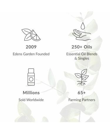 Edens Garden Vanilla Sandalwood Natural Essential Oil Perfume (Earthy & Sweet Aroma) 1 oz - Buy Online on GoSupps.com