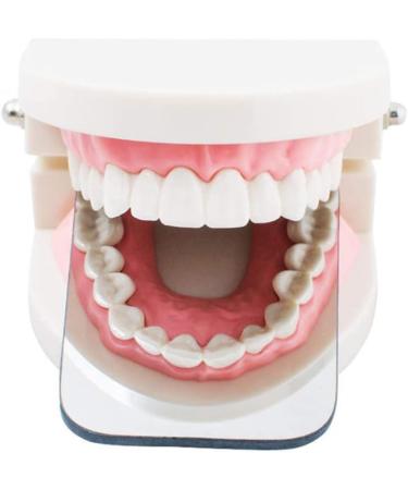 Scozia Intra Oral Mirror - Dental Photography Mirror for Precise Stomatoscope Imaging - Buy Online on GoSupps.com