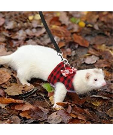 Adjustable Pet Dishes & Traction Rope for Small Animals | Ferrets Guinea Pigs Bunnies Hamsters & Kittens - Buy Online on GoSupps.com
