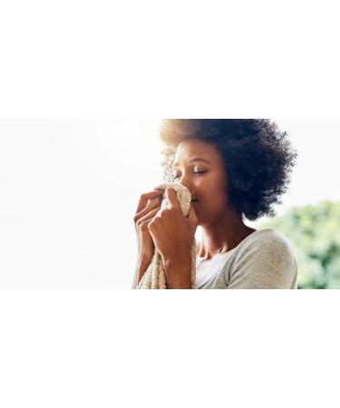 Eco-Friendly Reusable Handmade Wool Dryer Balls - Natural Fabric Softener Set of 3 - Buy Online on GoSupps.com