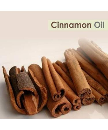 Crysalis Cinnamon Oil (Cinnamomum verum) - 1.01 Fl Oz (30ml) | Pure Essential Oil for Natural Wellness - International Shipping Available - Buy Online on GoSupps.com