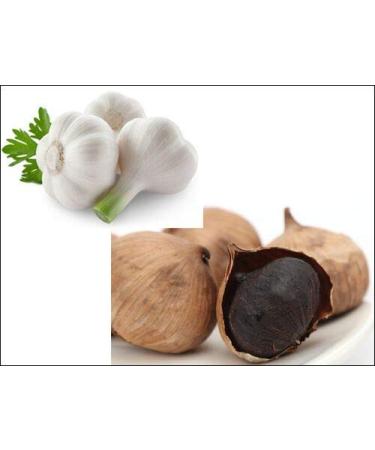 ONETANG Black Garlic 250g - 90 Days Fermented, High Antioxidants, Pack of 2 (8.81 oz) - No Additives - Buy Online on GoSupps.com