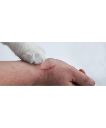 Betaisodona Povidone-Iodine Wound Antiseptic Ointment 25g - Alcohol-Free, Non-Burning Formula - Buy Online on GoSupps.com