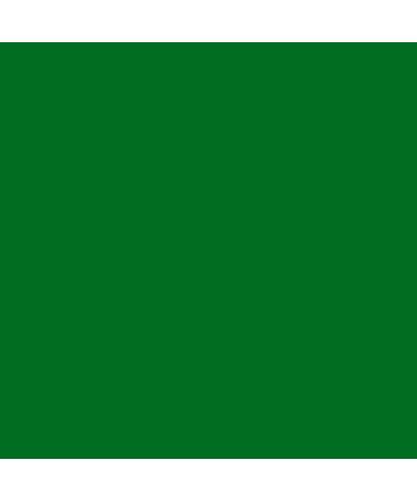 Green Face Body Paint - Washable Matte Liquid Foundation for Halloween & SFX Makeup (0.5 fl. oz) - International Shipping Available - Buy Online on GoSupps.com