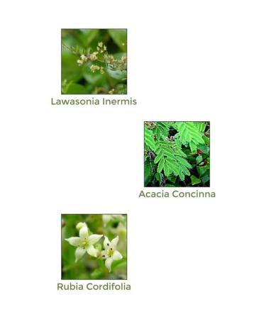 Organic Vegetable Henna Powder - 100g | Natural Hair Dye | Shop Internationally - Buy Online on GoSupps.com