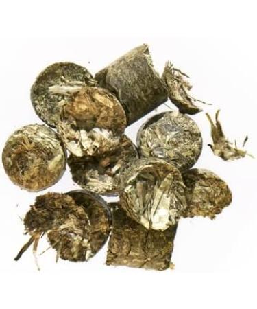 Agrobs Testudo Original 500g Can | Premium Single Feed for Land Turtles | Ideal Transition Food for Winter Rigor - Buy Online on GoSupps.com