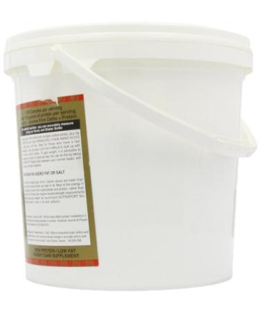 Buy Xingular Vanilla Shakes - Delicious & Creamy Protein Shake | International Shipping Available - Buy Online on GoSupps.com