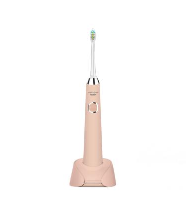 Sonic Electric Rechargable Toothbrush 4 Modes USB Charging Toothbrush Design for Sensitive Teeth with 2 Replaced Head