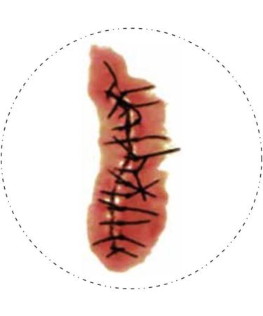 Chucky Costume Fake Blood Zombie Scars Tattoos Bloody Scar with Fake Blood Costume Makeup Halloween Decorations Party Favor - Buy Online on GoSupps.com