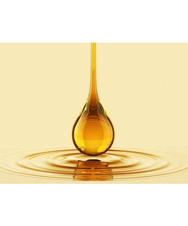 KTC Vegetable Oil | 1L | Cooking Oil| Deep or Shallow Frying Oil | For Nutritious Diet |Vegan | Gluten-Free |Indian Origin - Buy Online on GoSupps.com