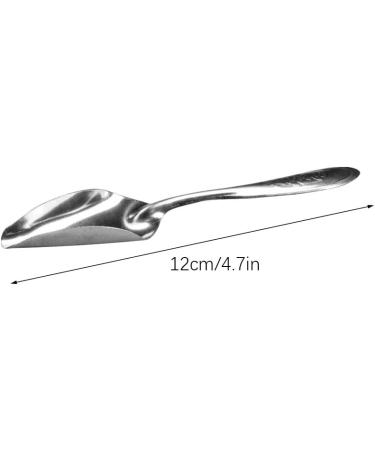 5Pcs Pet Bird Parrot Hand-Feeding Food Milk Powder Spoons Stainless Steel Spoons Bird Feeder - Buy Online on GoSupps.com