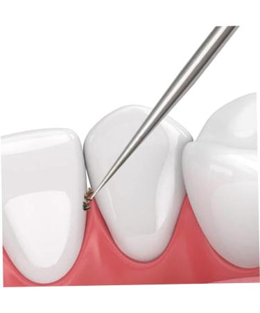 5-Pack Reusable Stainless Steel Toothpick Cartridge | Portable Dental Care Kit & Tooth Cleaner | Eco-Friendly Metal Toothpicks - Buy Online on GoSupps.com