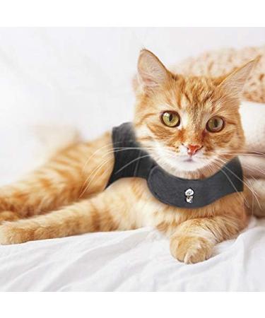 Thundershirt for Cats Large - Buy Online on GoSupps.com