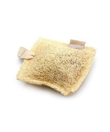 SOAP-n-SCENT Soap-e-Loofah 100g. Fruit Aroma (2 per Order)