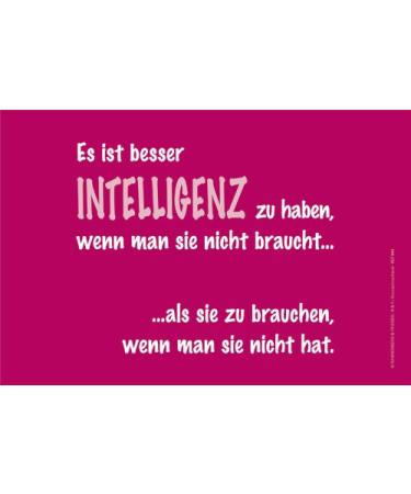 Rannenberg microfibre cleaning cloth laptop cloth glasses cleaning cloth - INTELLIGENCE