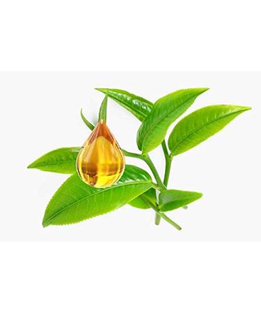 YARI Natural Tea Tree Body Care | 250 ml Moisturiser & Oil for Hydrated Skin - International Shipping Available - Buy Online on GoSupps.com