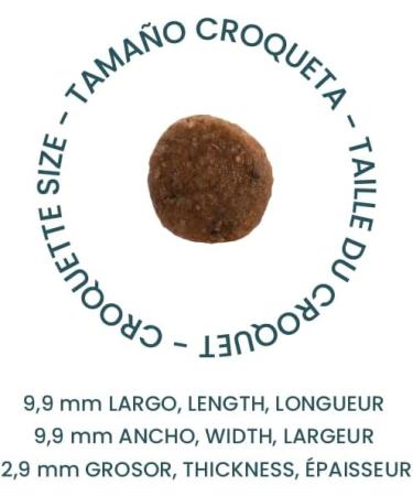 BREEDNA - Cat Adult 1.25kg | Cat Food with Dehydrated Chicken | Cat Food for Cardiac and Visual Health | Adult Cat Food - Buy Online on GoSupps.com