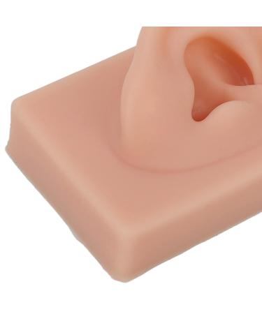 Reusable Human Ear Model - Dark Skin Color for Acupuncture & Headphone Display - Buy Online on GoSupps.com