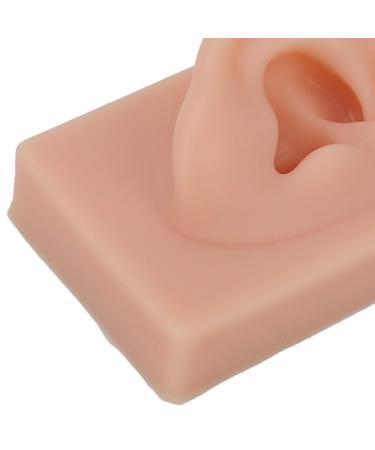 Comfortable Silicone Right Ear Model for Headphone Acupuncture Training Realistic & Soft Human Ear Replica - Buy Online on GoSupps.com