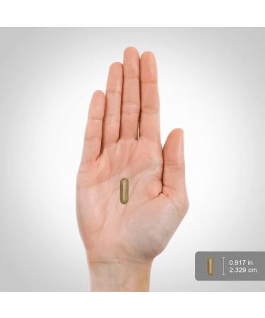 Piping Rock Silica Supplement 500mg | 100 Capsules - Horsetail Extract for Hair Bones & Nails | Gluten Free & Non-GMO - Buy Internationally - Buy Online on GoSupps.com