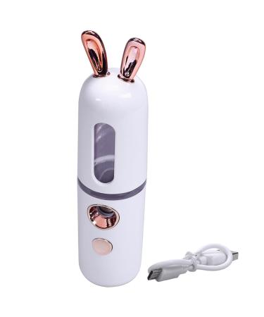 Yssevlon New Mini USB Rechargeable Nano Hydrator Sprayer Women Beauty Instruments Home Use Humidifier Face Steamer Easy to Use White