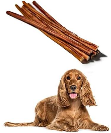 Only One Treats Bully Sticks 12 Standard Beef Dental Sticks for Dogs Dental Health Natural and Fully Digestible Dog Chew Training Treats for Small to Medium Pets and Gentle Chewers (20 Pack) 20 count (Pack of 1) 12" Pack of 20 - Buy Online on GoSupps.com