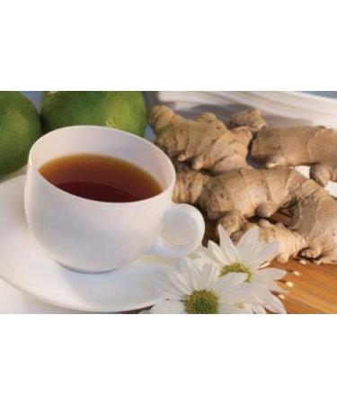  SetProducts Infusions 100% Ginger + A nice stickers of the brand Set Products - 25 bags of 1.6g - Buy Online on GoSupps.com