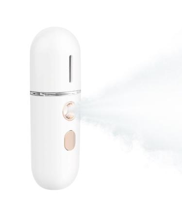 Vaporisateur Visage | Ionisateur Vapeur Nano - Vaporisateur Portable Hydratant pour Maquillage Quotidien et Transport Blanc