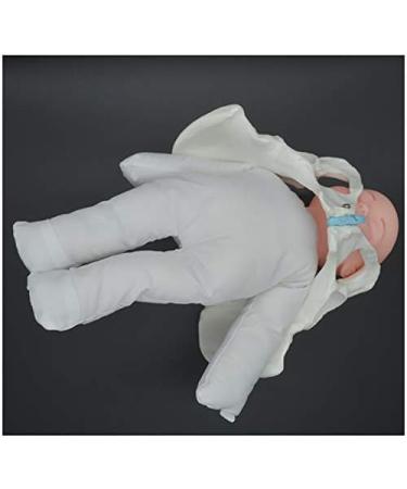 Life-Size Female Pelvic Model - Standard Birth Simulator with Baby Pool Removable Placenta & Navel Cord | Ideal for Birth Demonstrations - Buy Online on GoSupps.com